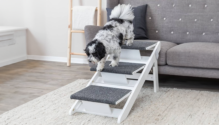 dropship pet supplies